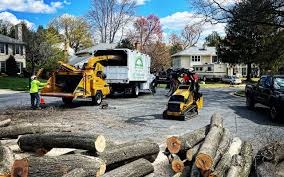 Best Residential Tree Removal  in Missouri City, TX